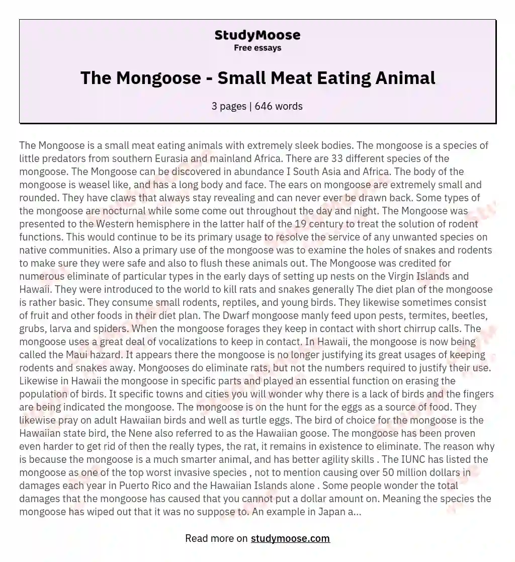 The Mongoose - Small Meat Eating Animal