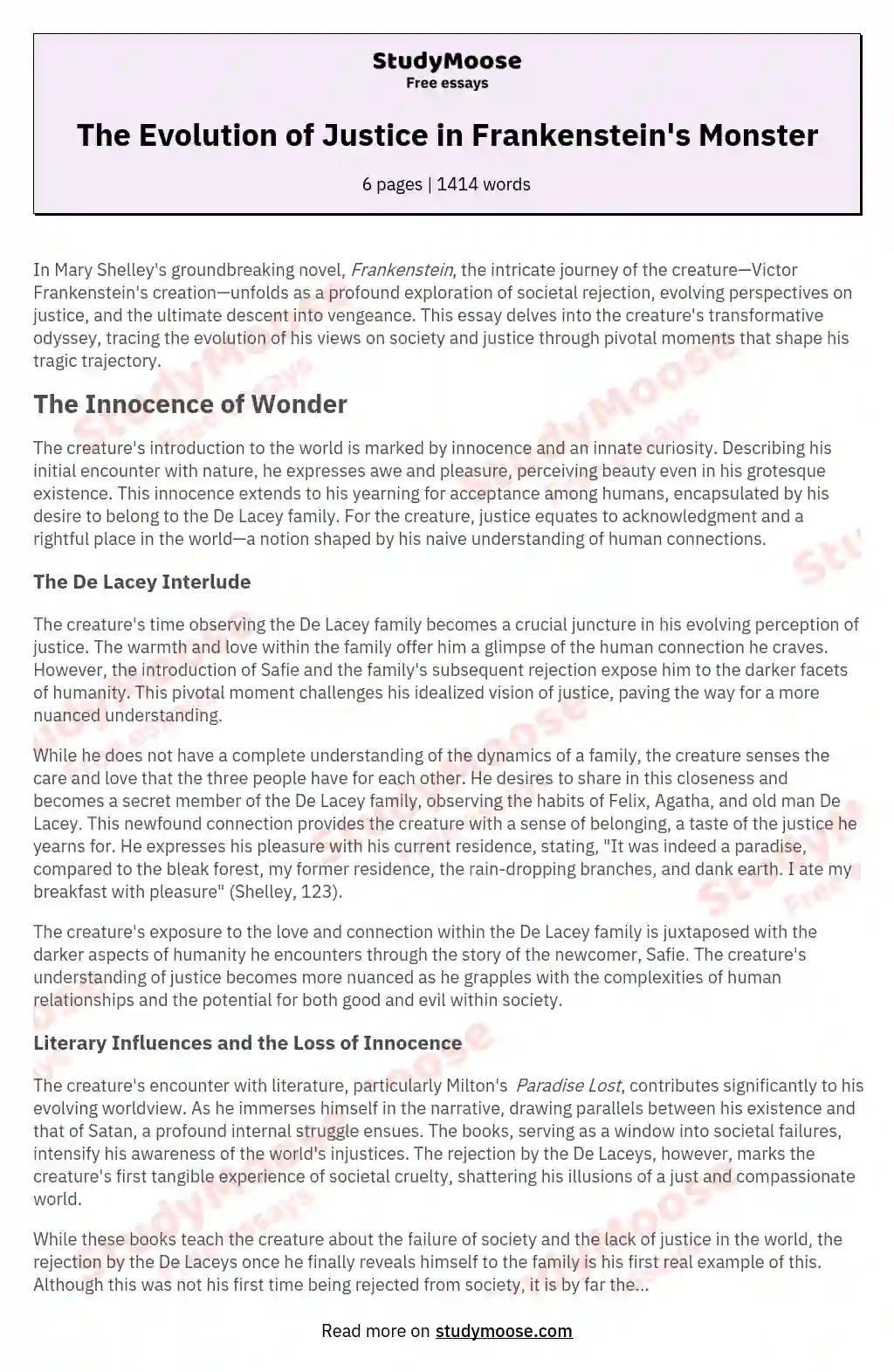 The Evolution of Justice in Frankenstein's Monster essay