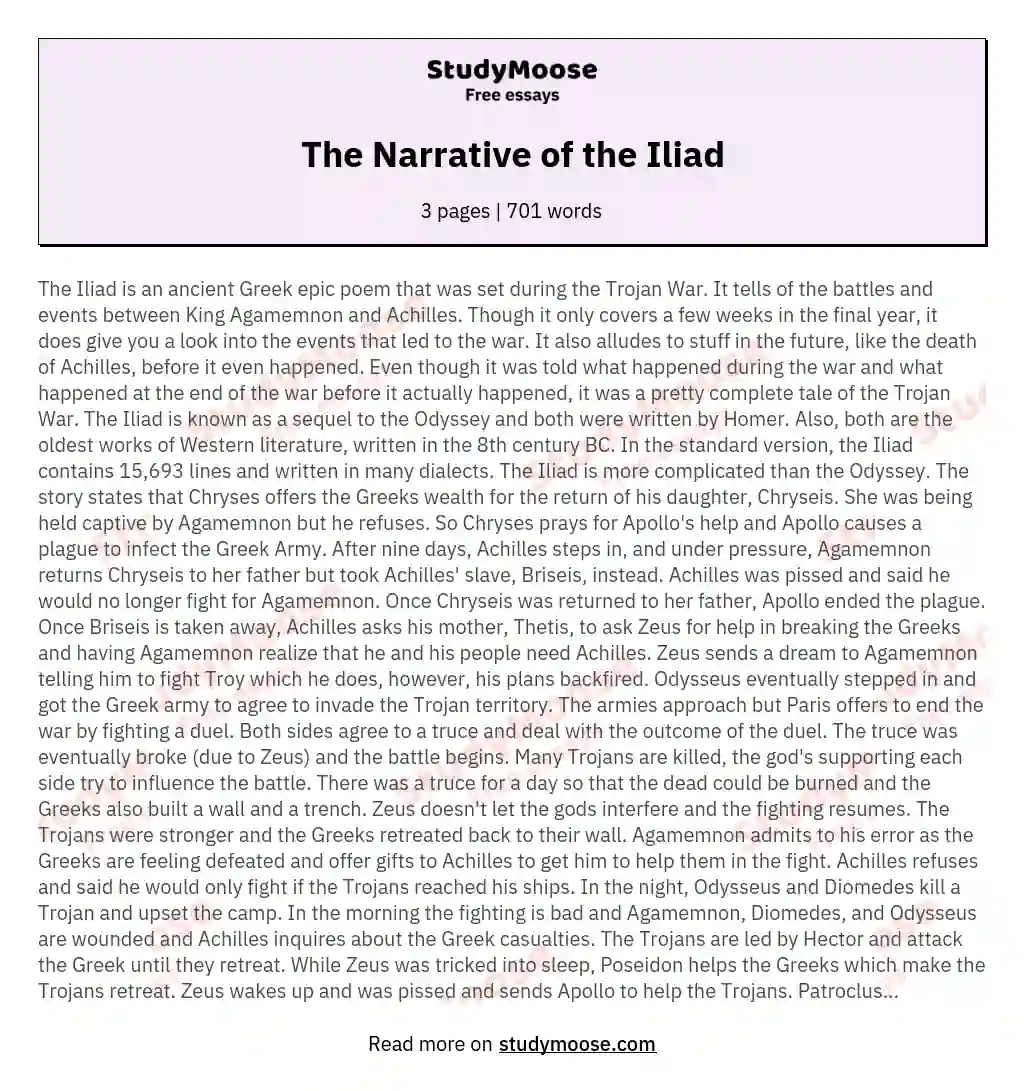 The Narrative of the Iliad essay