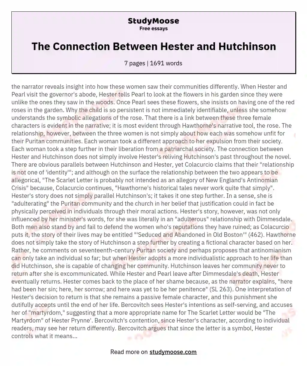 The Connection Between Hester and Hutchinson essay