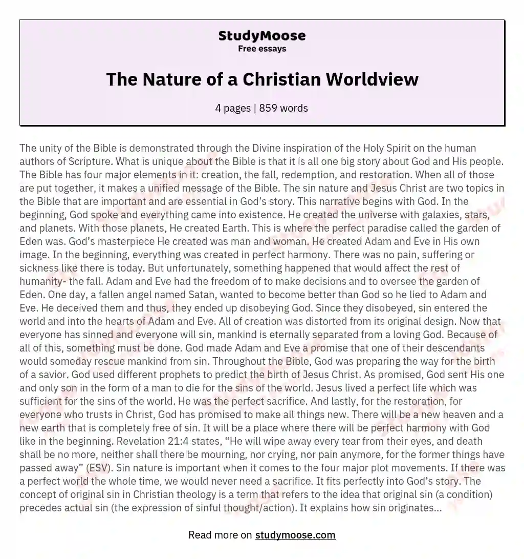 The Nature of a Christian Worldview essay