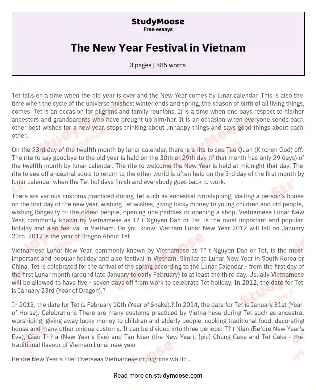 lunar new year in vietnam essay