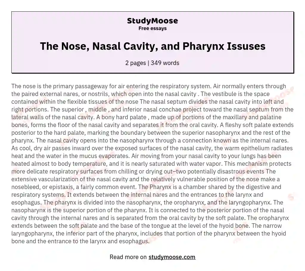 The Nose, Nasal Cavity, and Pharynx Issuses essay