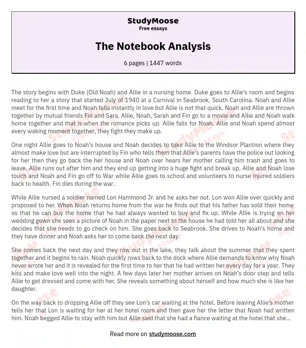 The Notebook Analysis essay