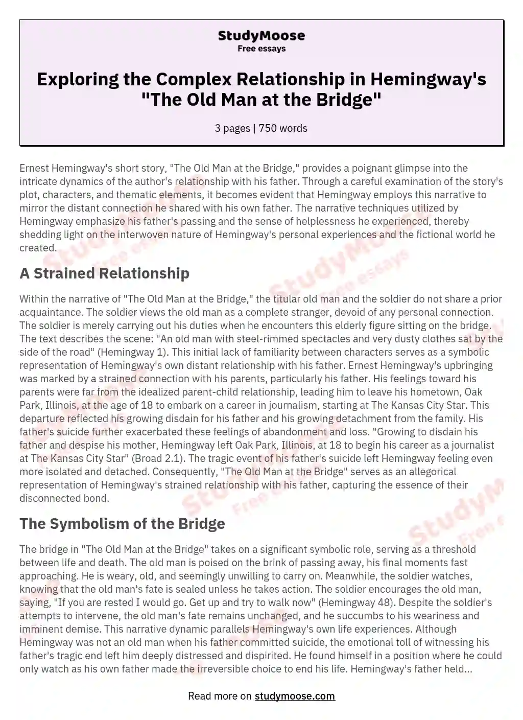 essay of the old man at the bridge