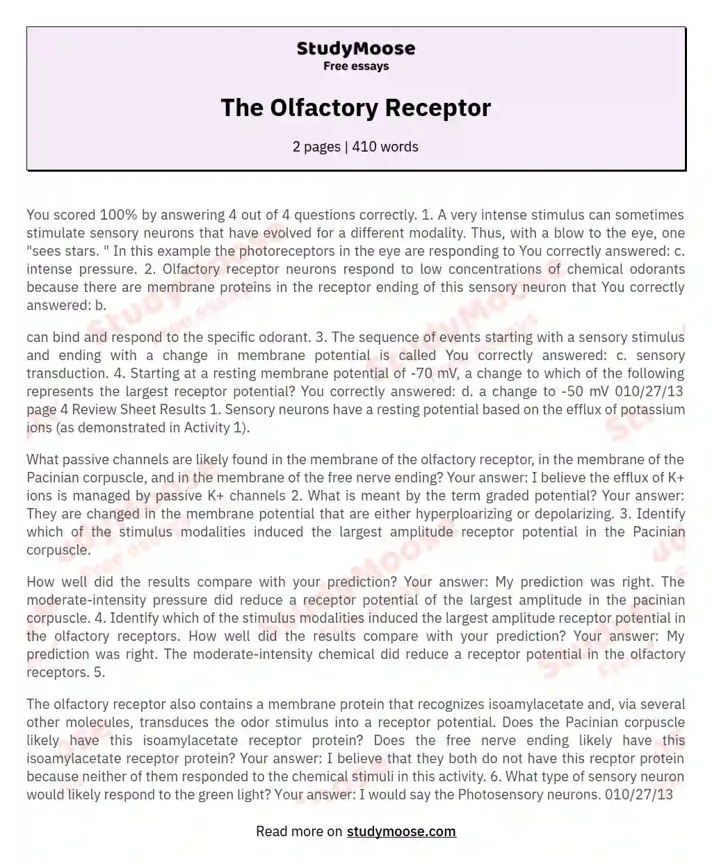 The Olfactory Receptor essay