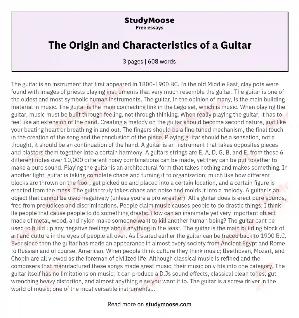 The Origin and Characteristics of a Guitar essay