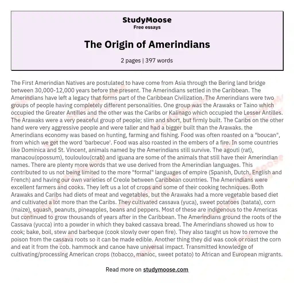 The Origin of Amerindians essay