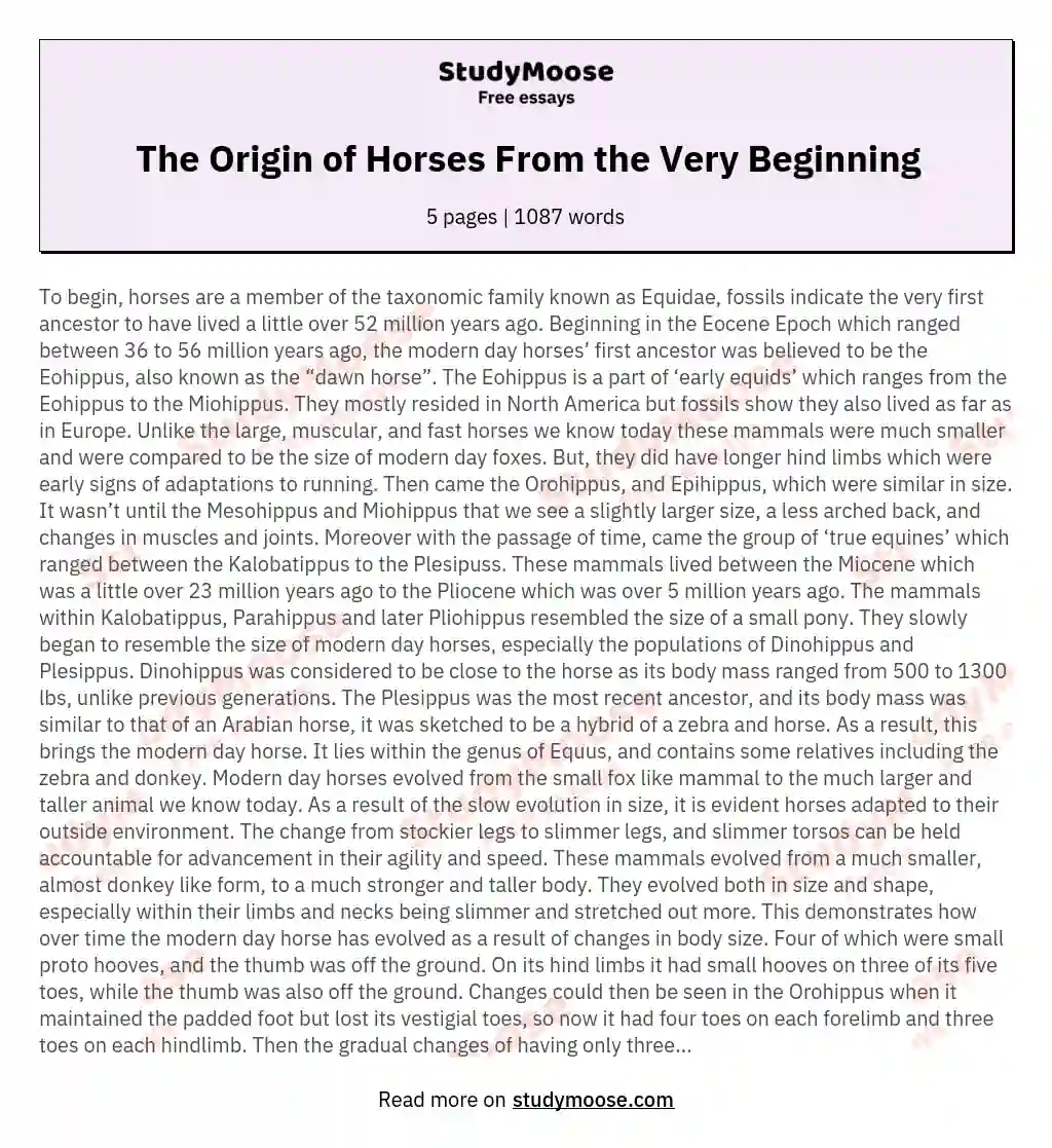The Origin of Horses From the Very Beginning essay