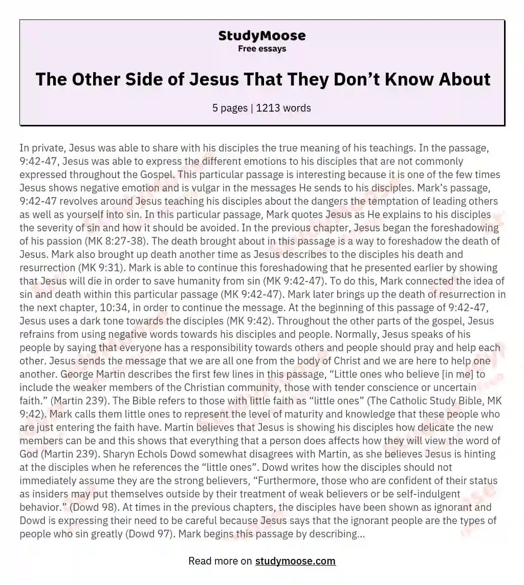The Other Side of Jesus That They Don’t Know About essay