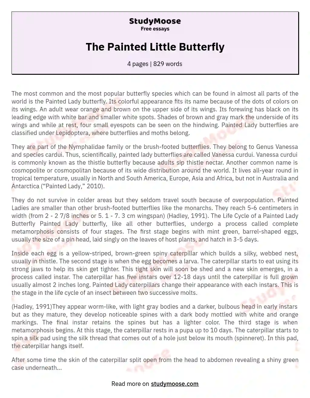 The Painted Little Butterfly essay