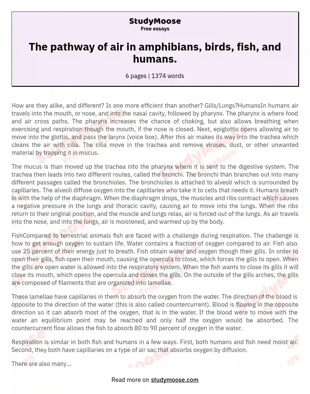 The pathway of air in amphibians, birds, fish, and humans.