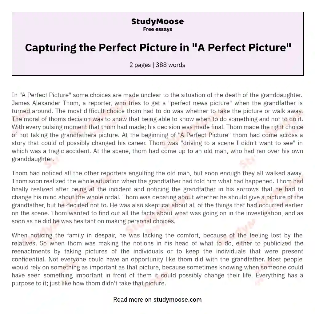 Capturing the Perfect Picture in "A Perfect Picture" essay