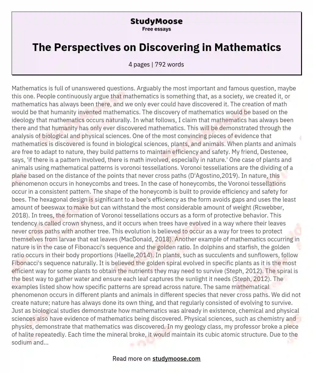 The Perspectives on Discovering in Mathematics essay