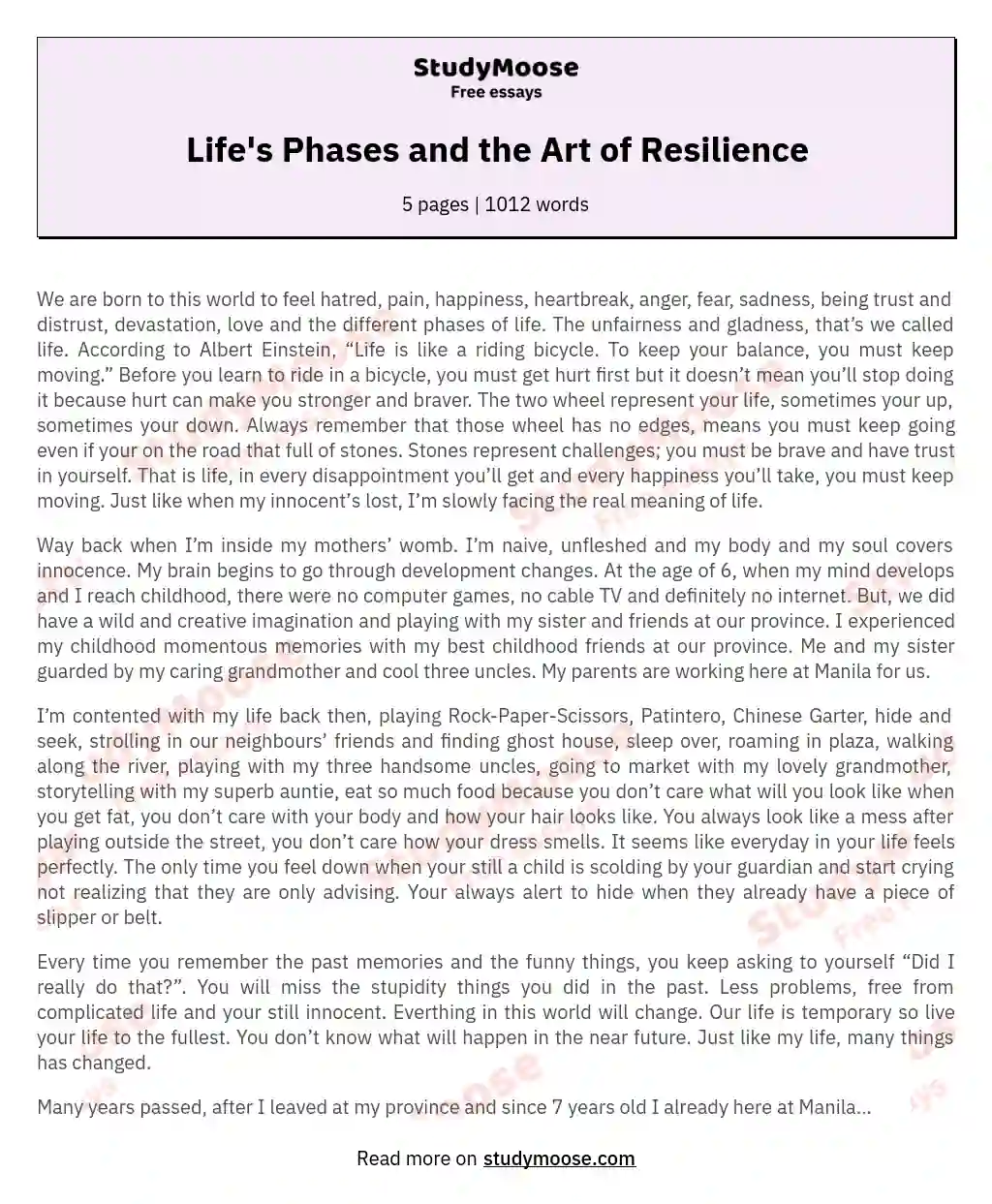 Life's Phases and the Art of Resilience essay