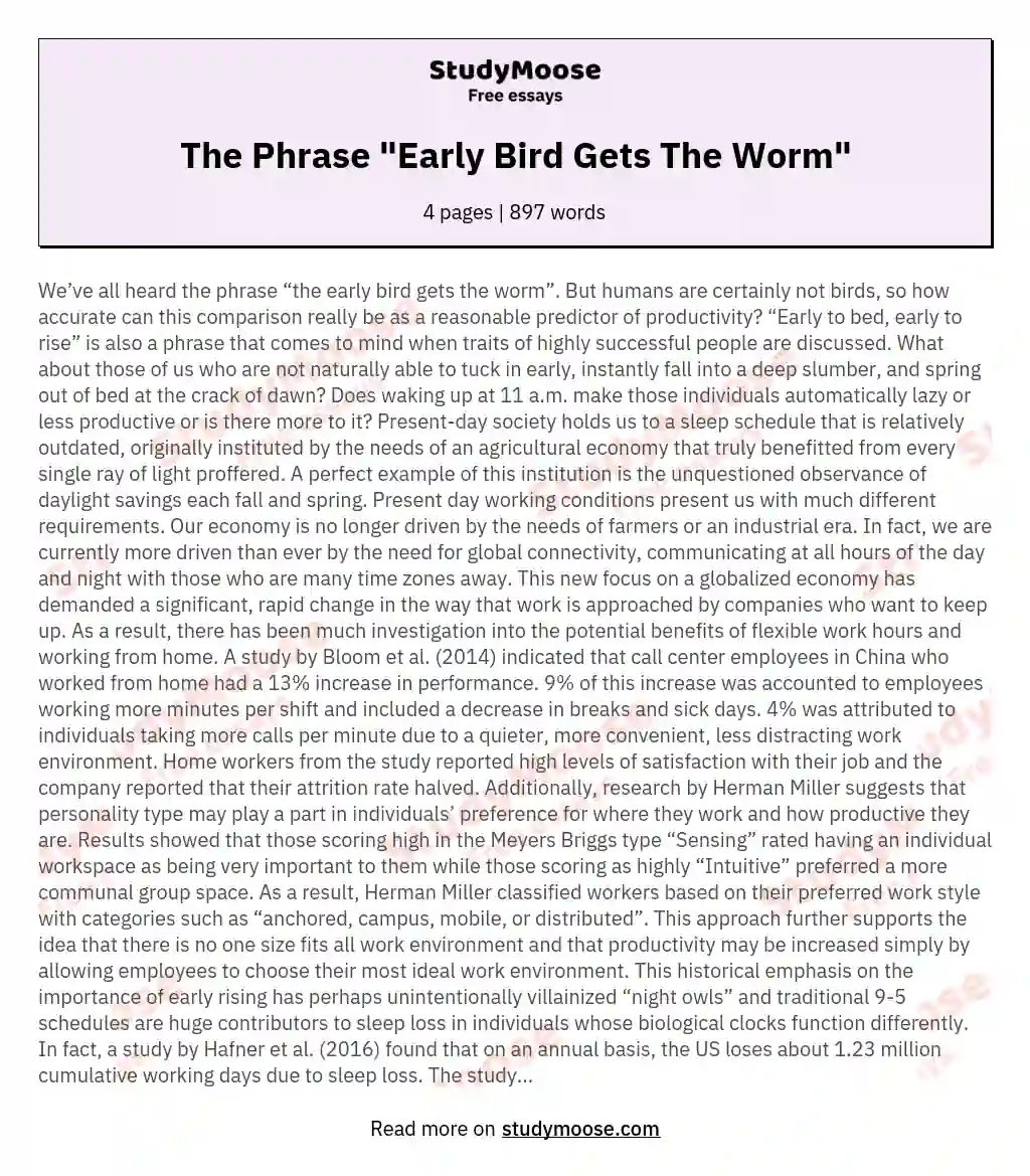 The Phrase "Early Bird Gets The Worm" essay