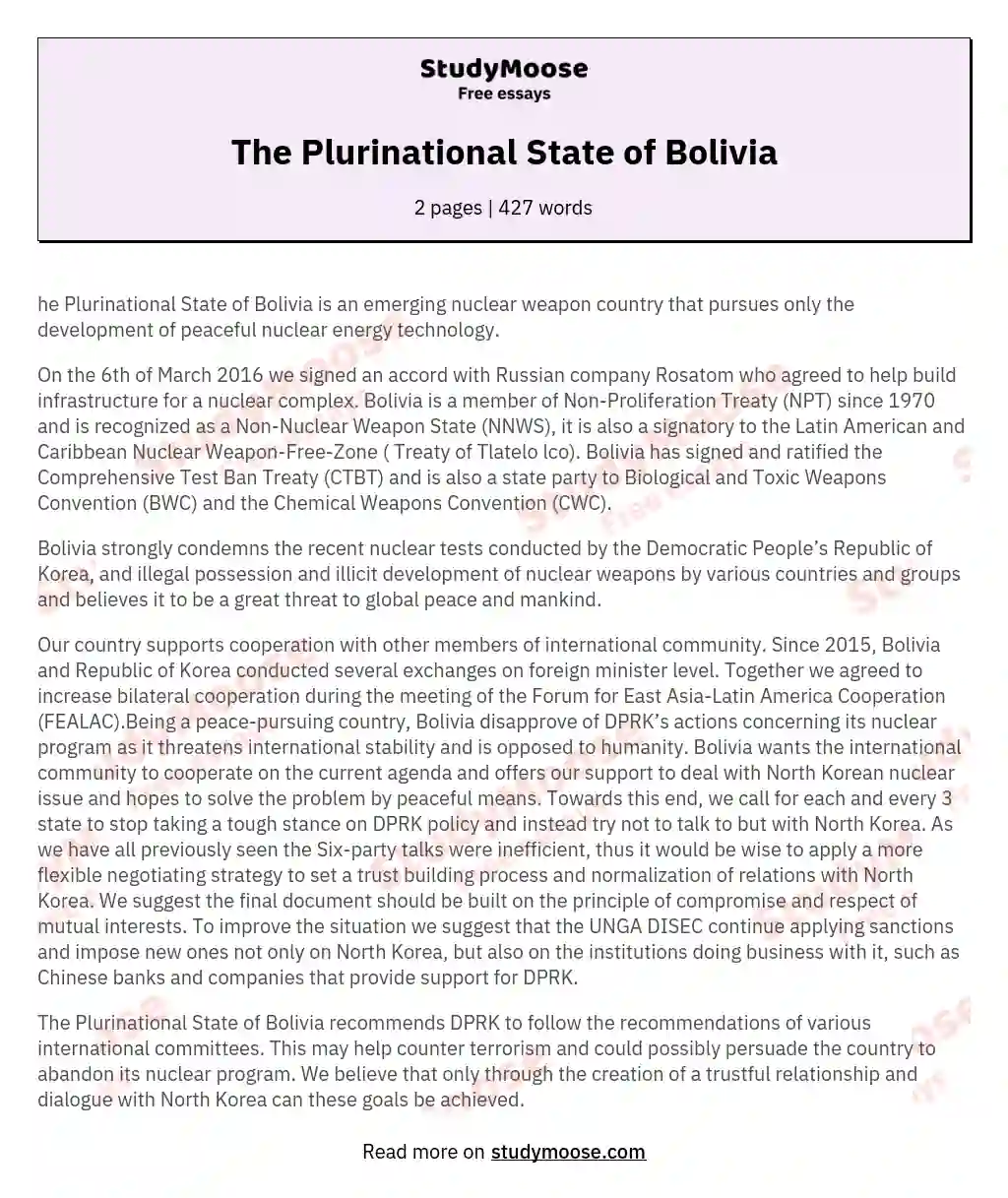 The Plurinational State of Bolivia essay