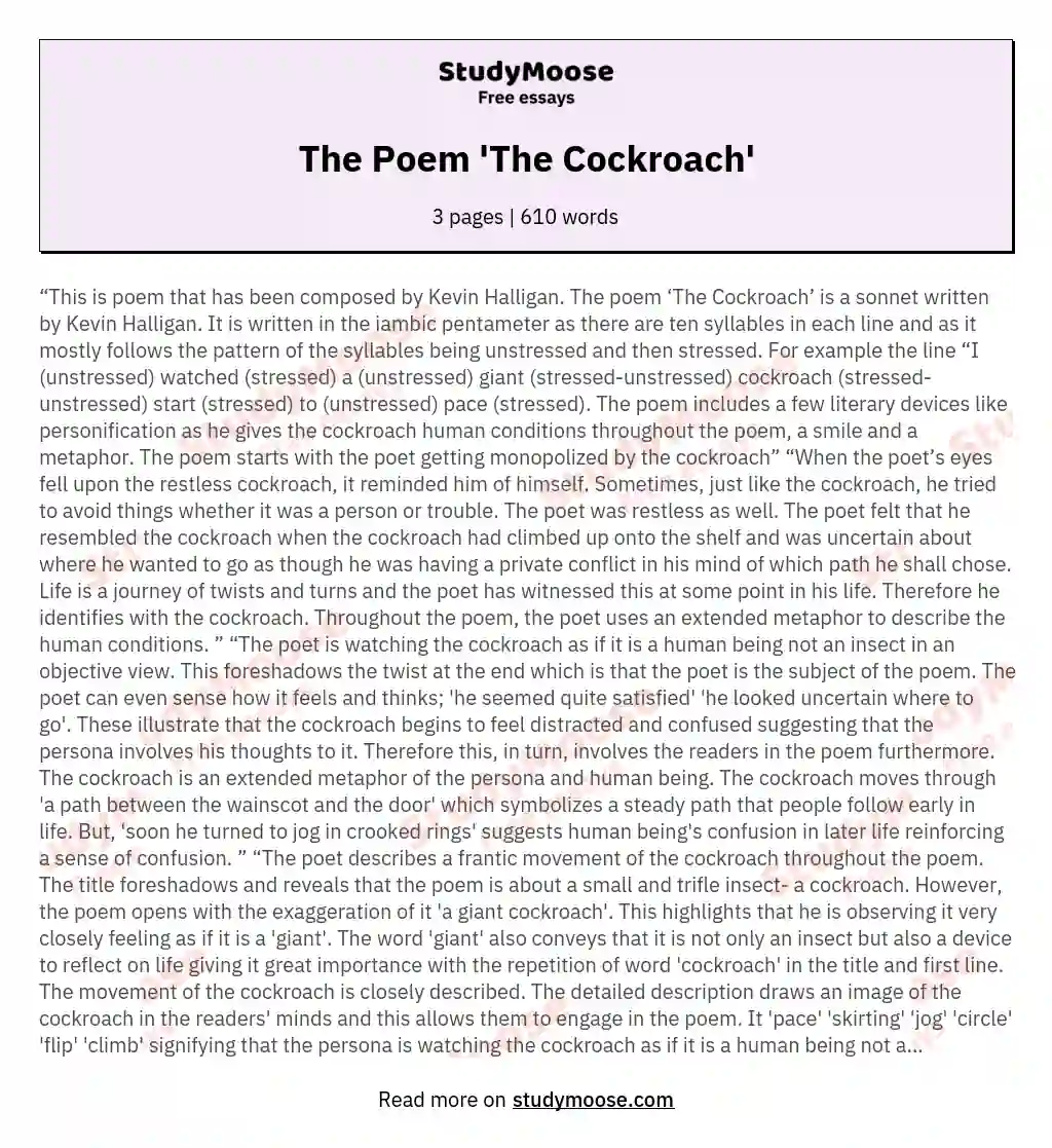 The Poem 'The Cockroach' essay