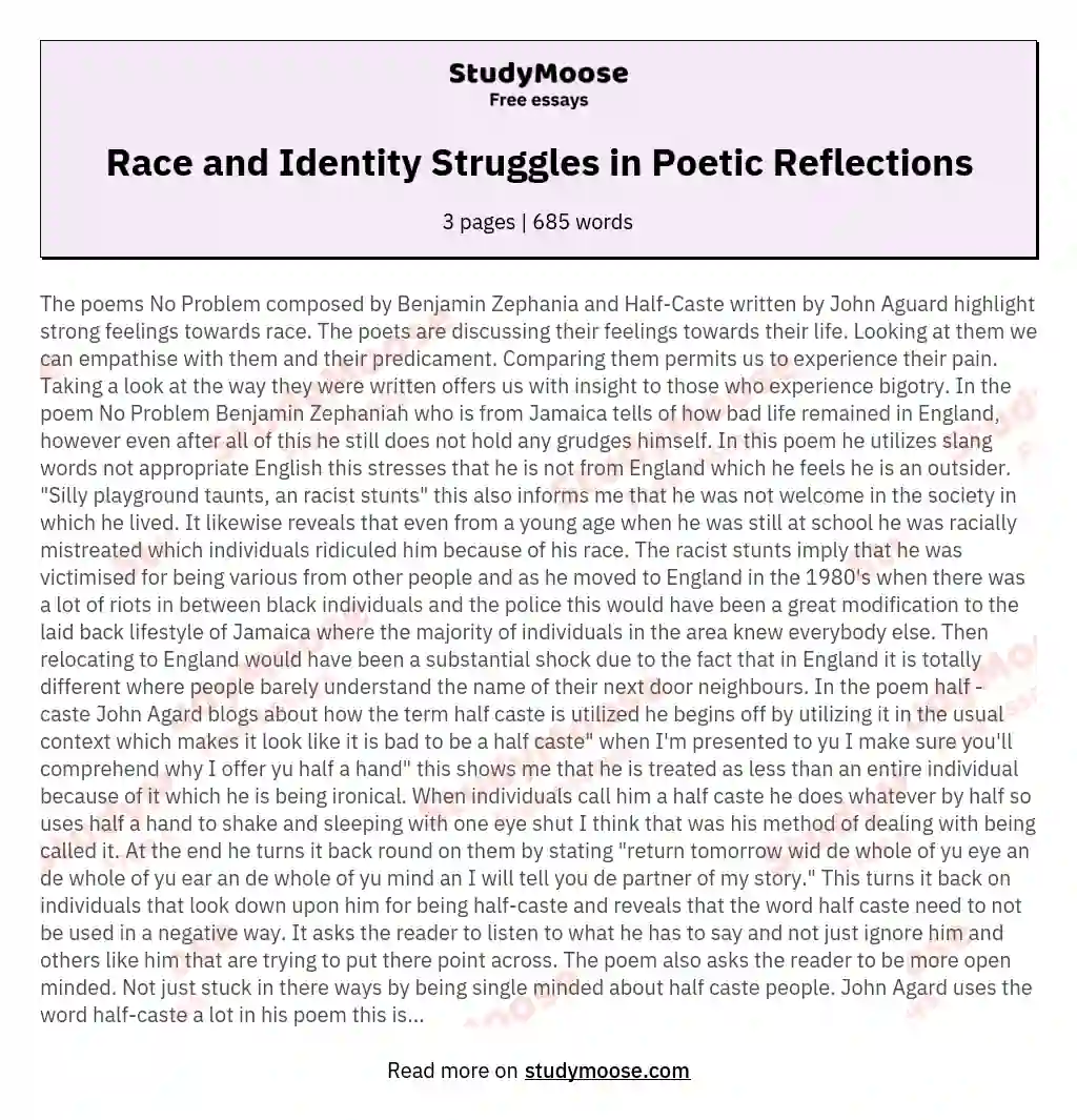 Race and Identity Struggles in Poetic Reflections essay