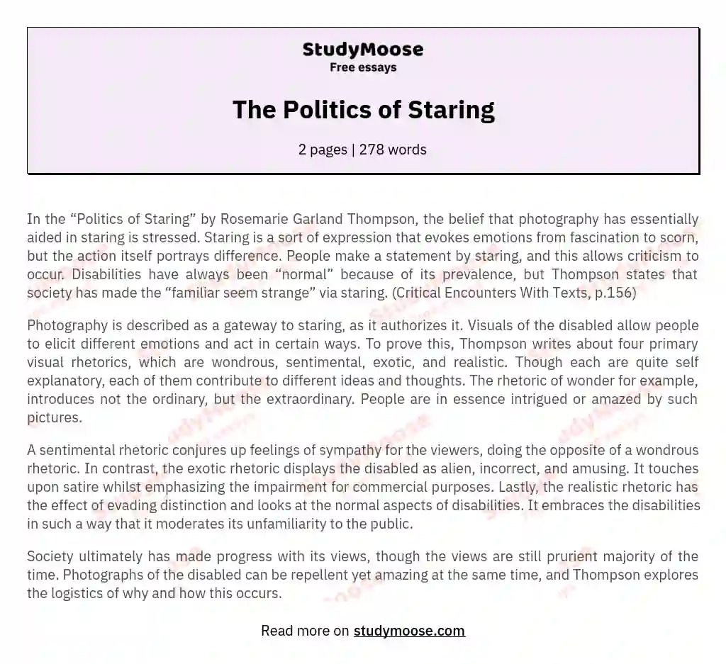 The Politics of Staring essay