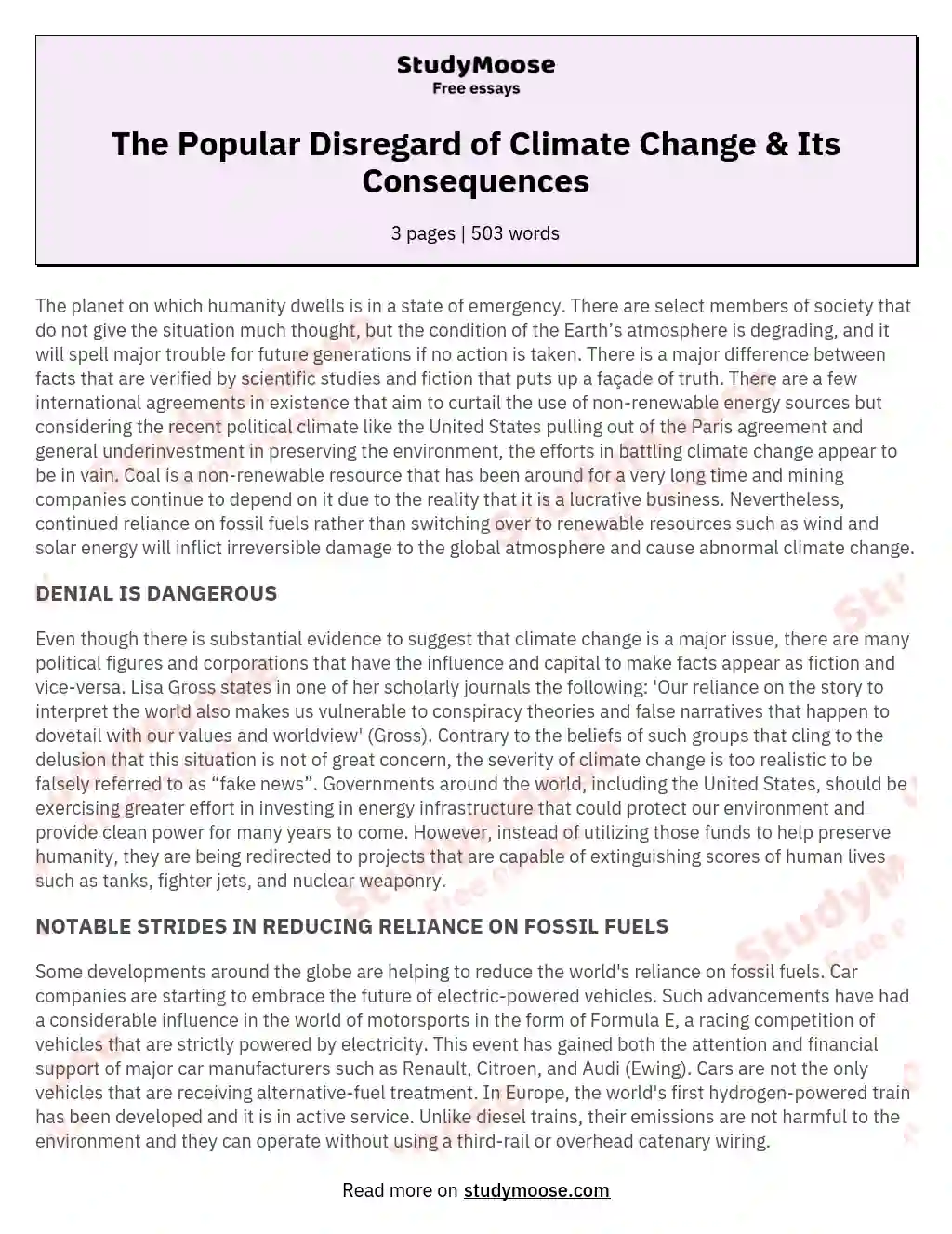 The Popular Disregard of Climate Change & Its Consequences essay