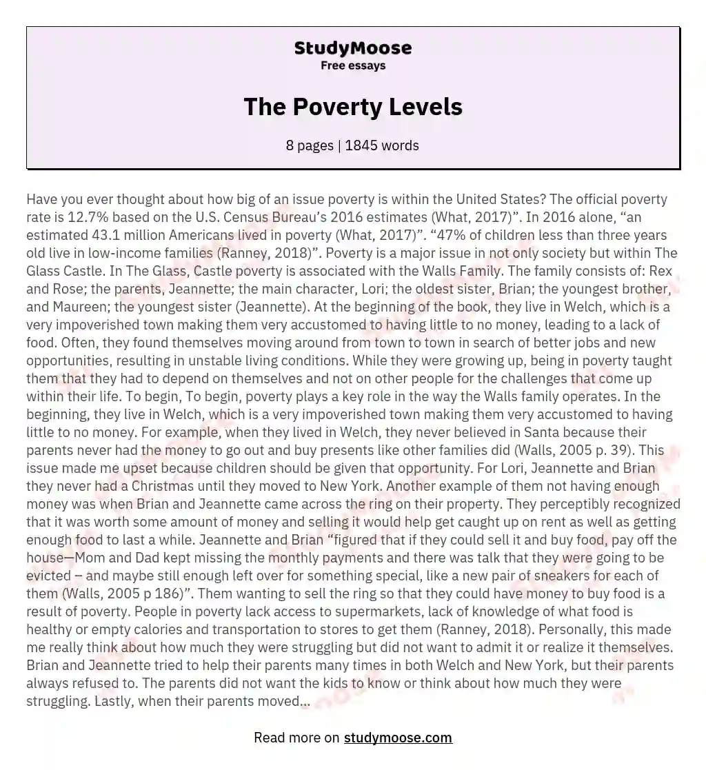 The Poverty Levels essay