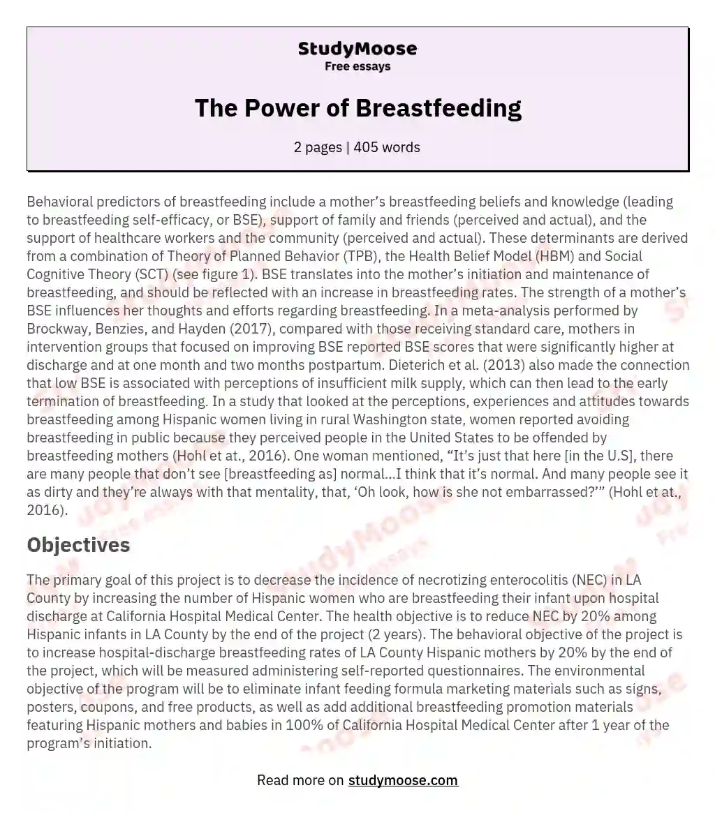The Power of Breastfeeding essay