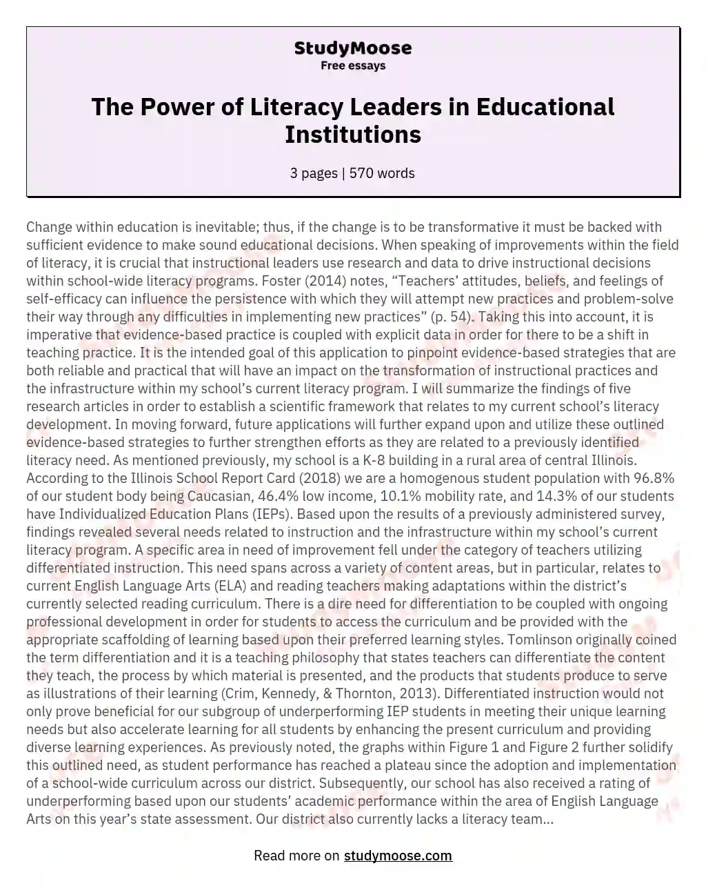 The Power of Literacy Leaders in Educational Institutions essay