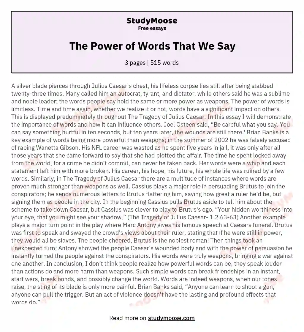 The Power of Words That We Say essay