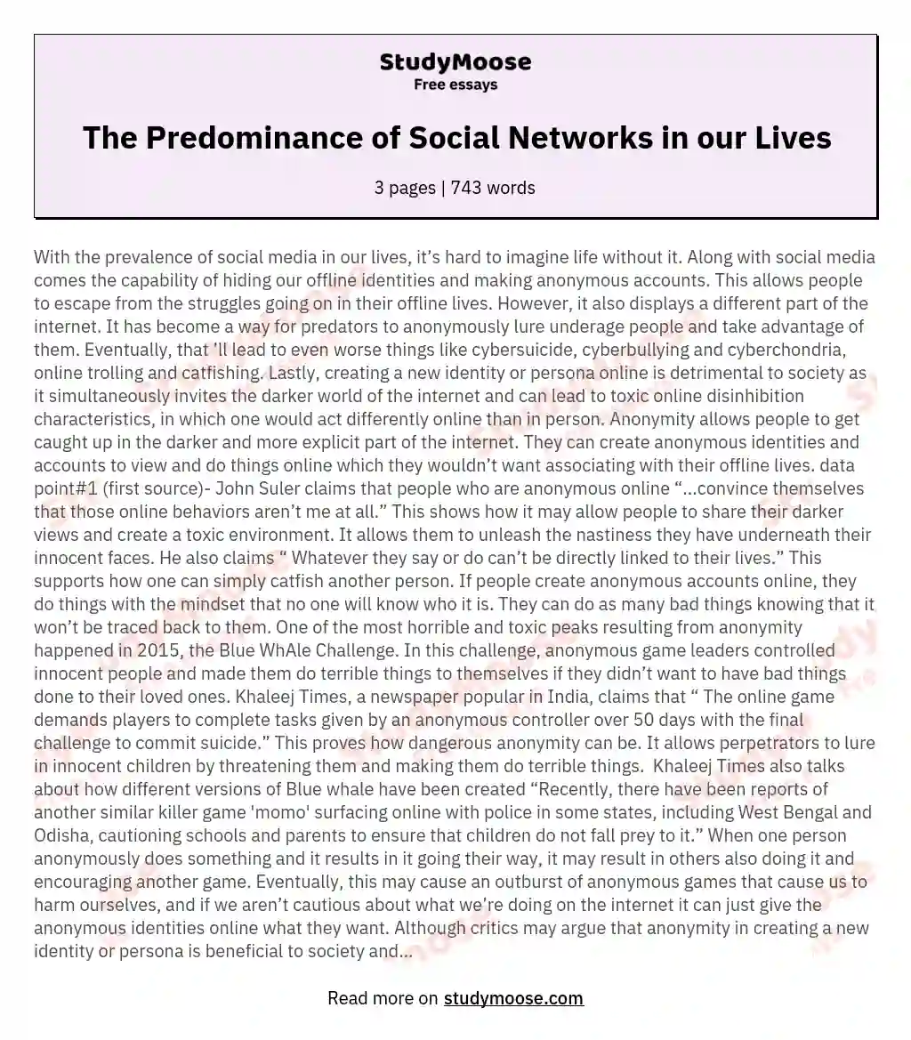 The Predominance of Social Networks in our Lives essay