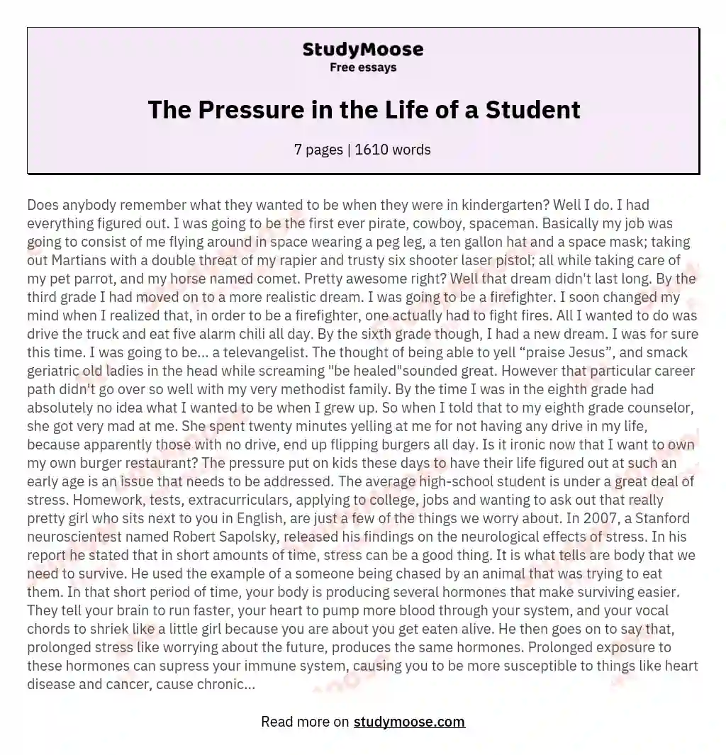 The Pressure in the Life of a Student essay