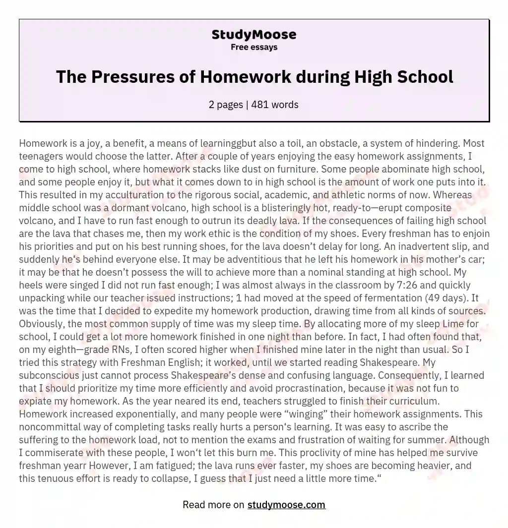 The Pressures of Homework during High School essay