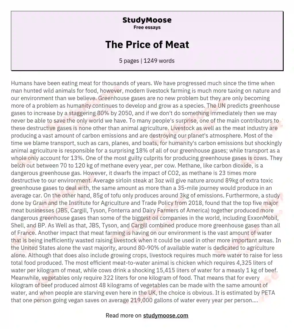The Price of Meat essay