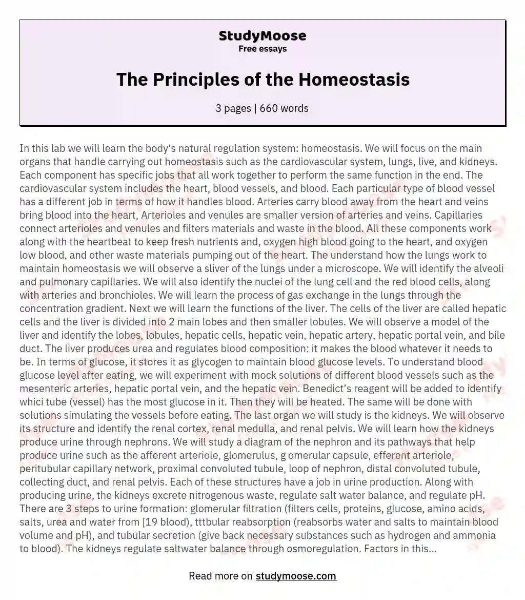 The Principles of the Homeostasis essay