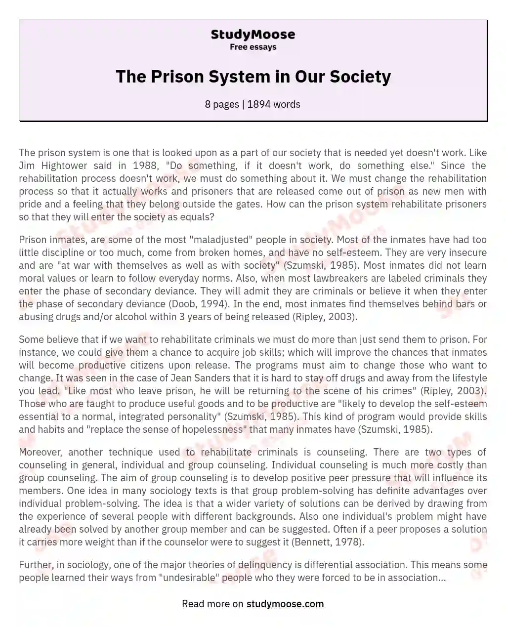 The Prison System in Our Society essay