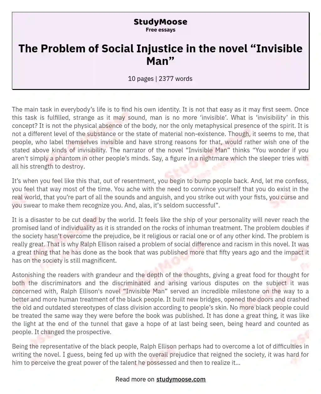 The Problem of Social Injustice in the novel “Invisible Man” essay