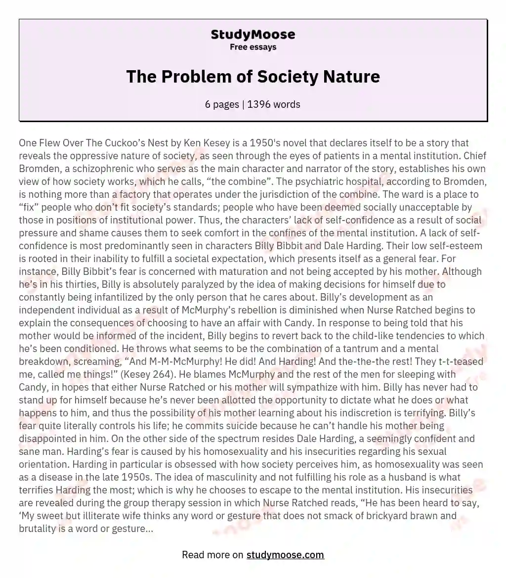 The Problem of Society Nature essay