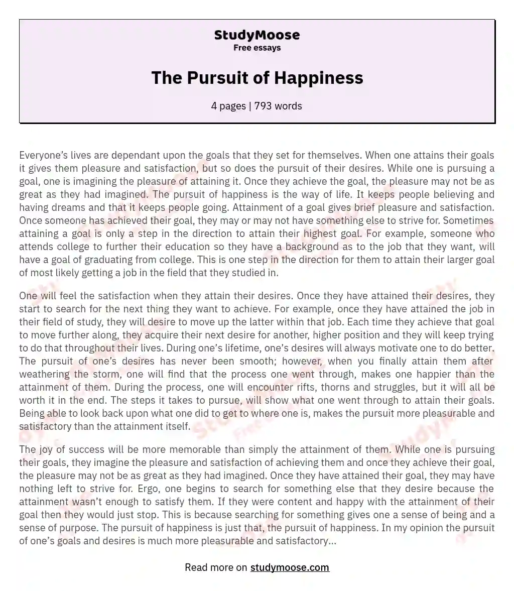 The Pursuit of Happiness essay