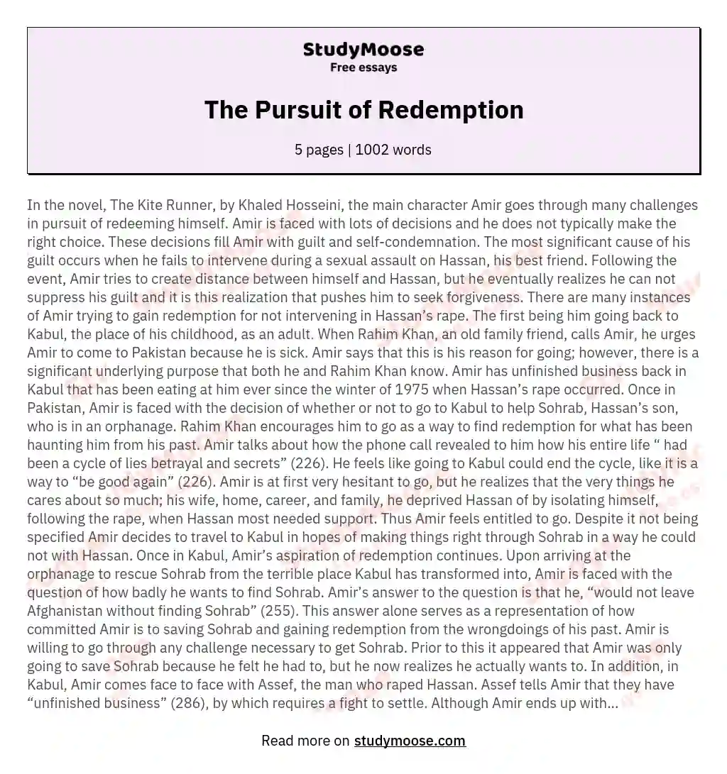 The Pursuit of Redemption essay