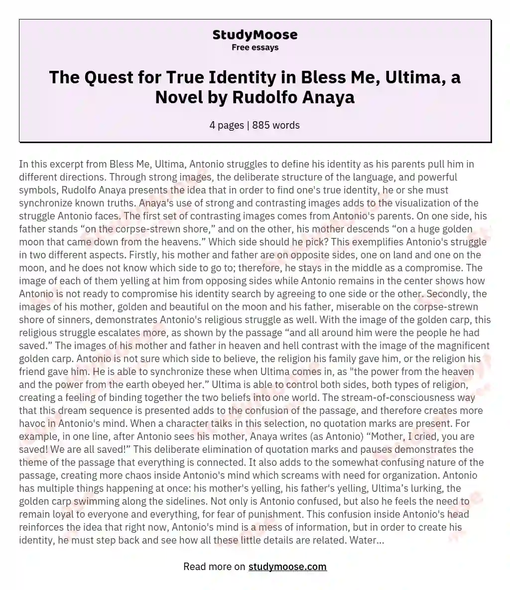 The Quest for True Identity in Bless Me, Ultima, a Novel by Rudolfo Anaya essay