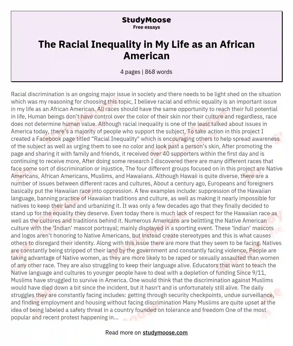 The Racial Inequality in My Life as an African American essay