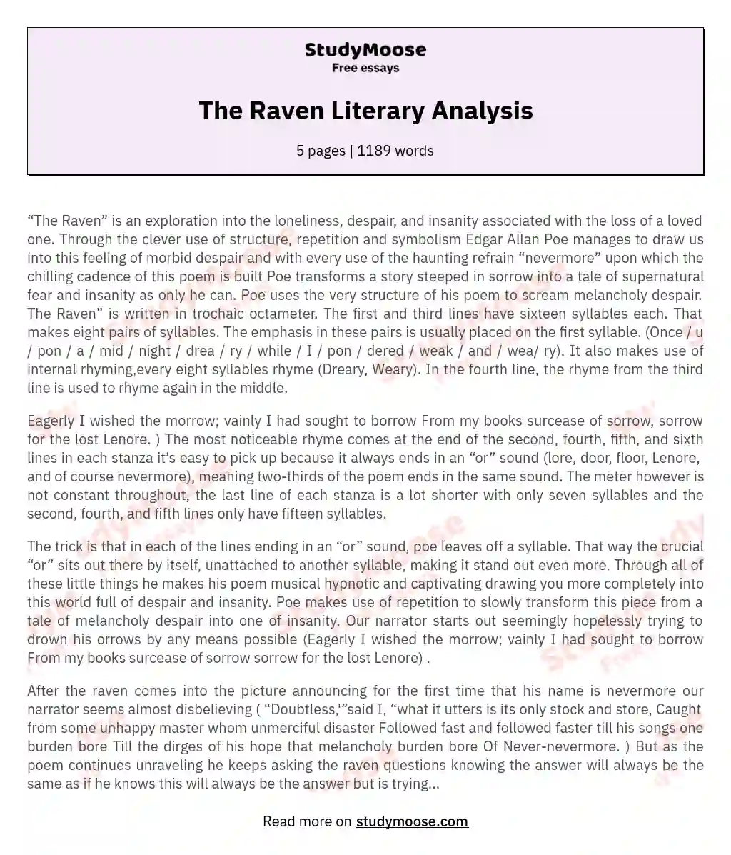 The Raven Literary Analysis essay