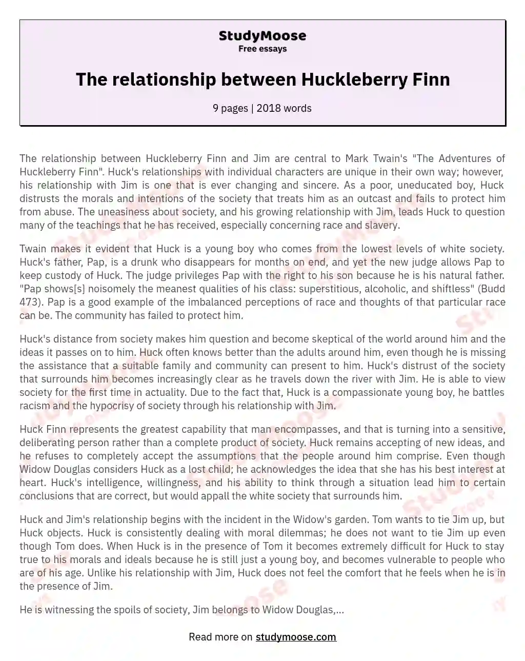The relationship between Huckleberry Finn essay