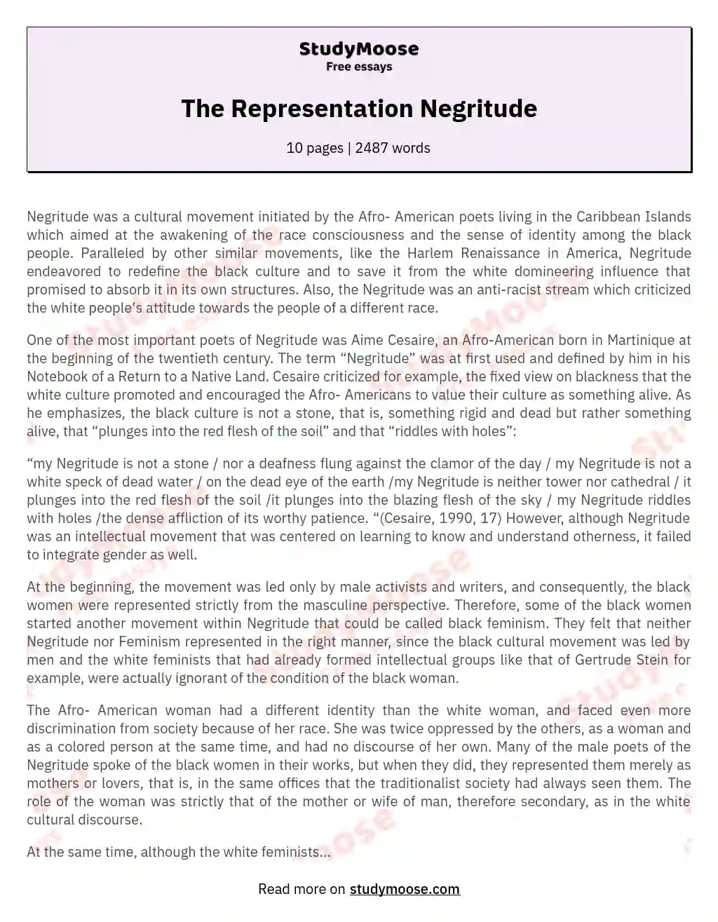 The Representation Negritude essay