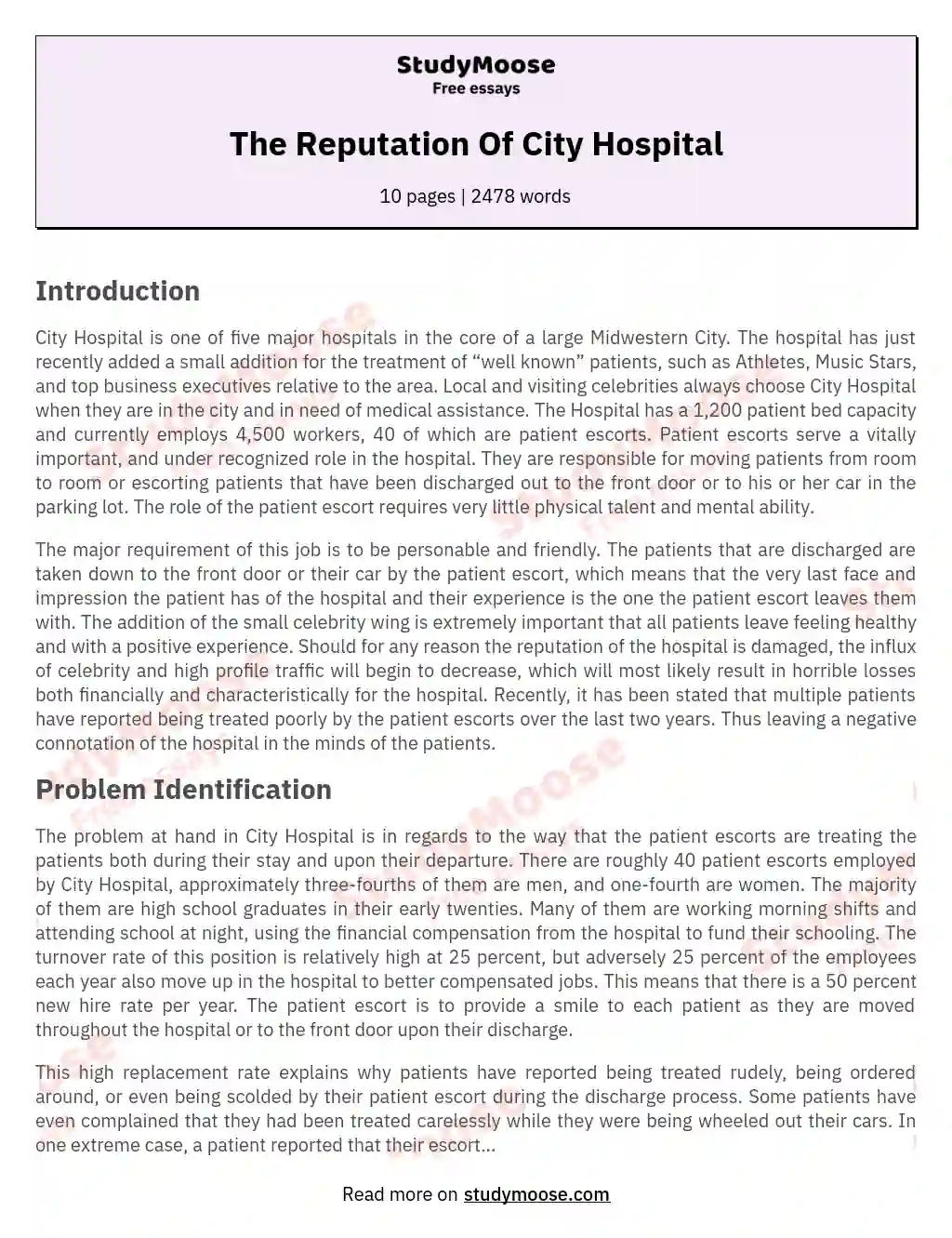 The Reputation Of City Hospital essay