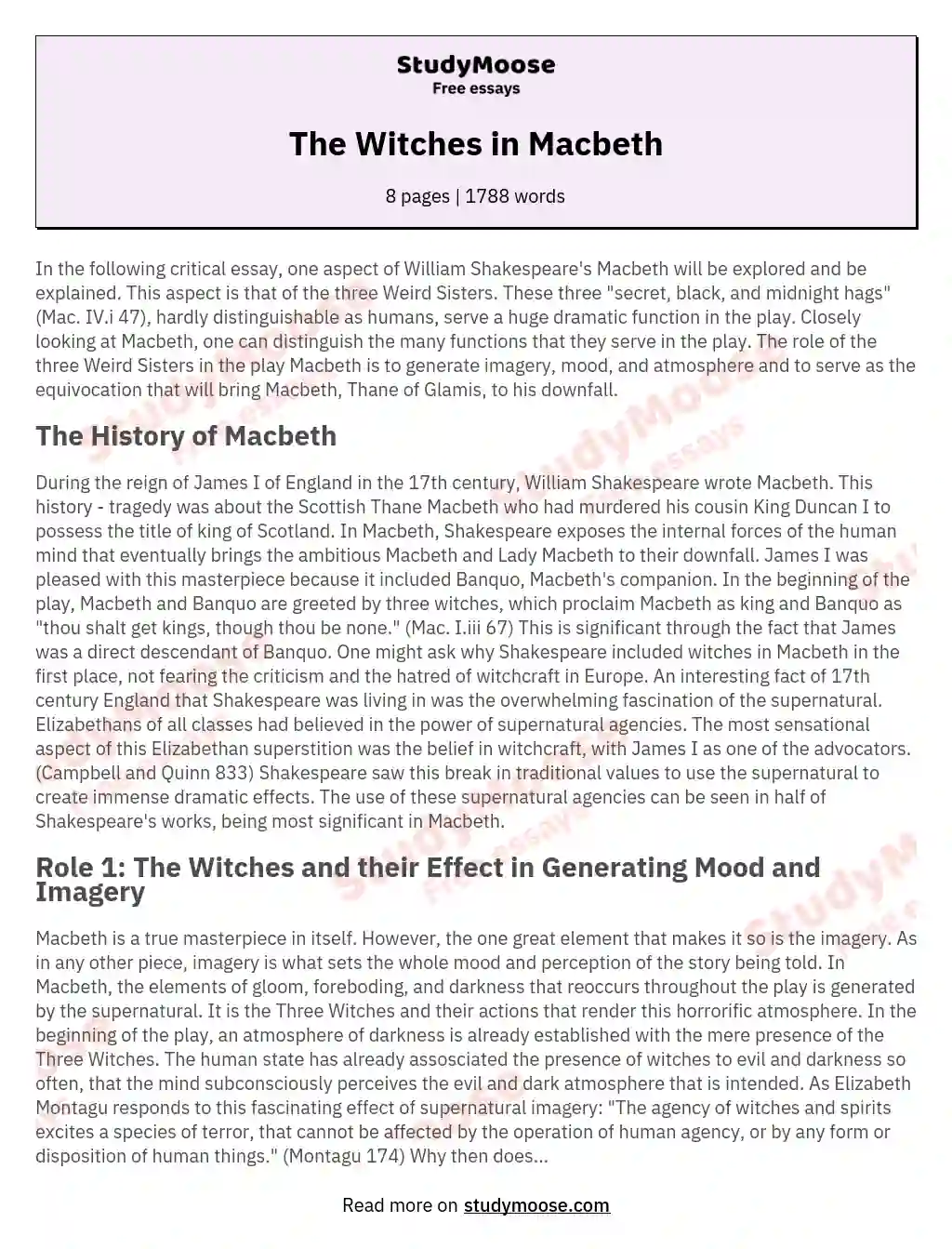 The Witches in Macbeth essay