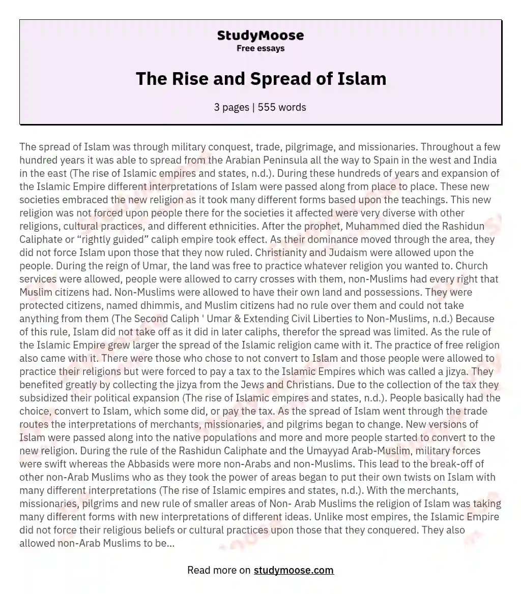 The Rise and Spread of Islam essay