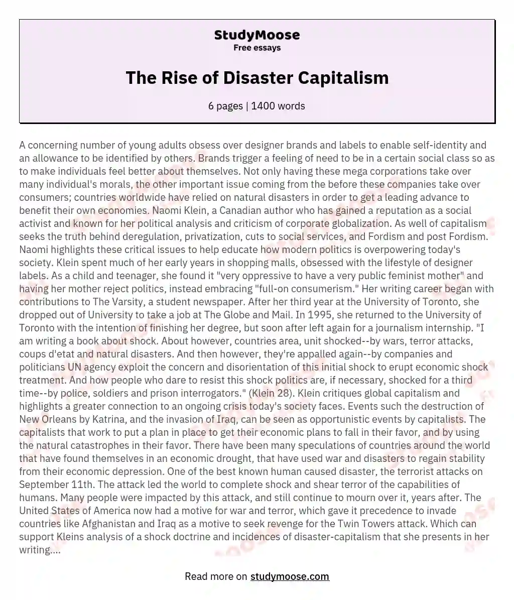 The Rise of Disaster Capitalism essay