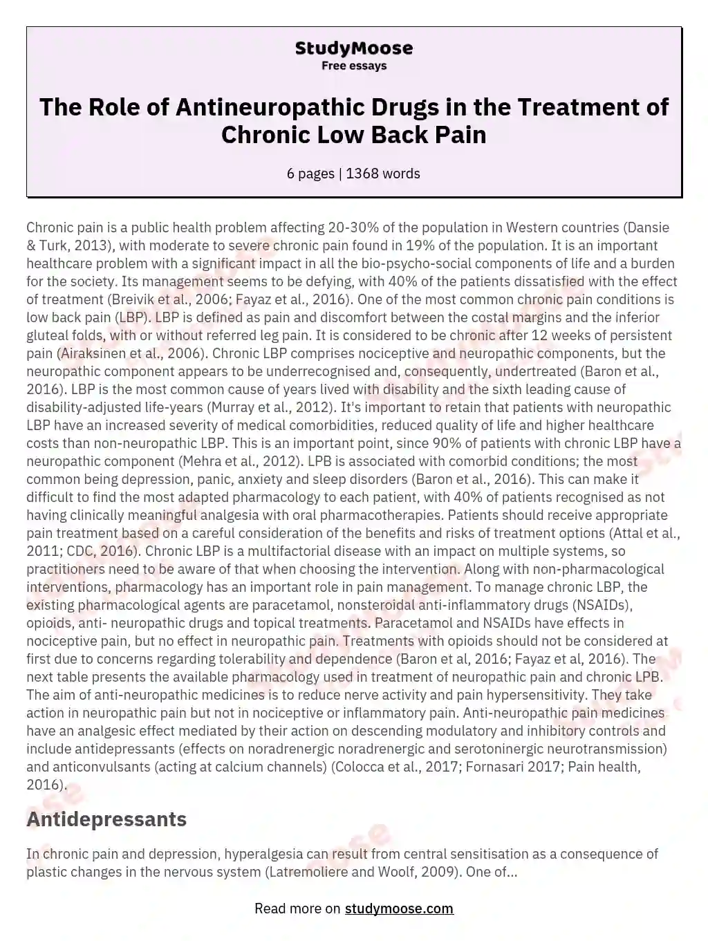 The Role of Antineuropathic Drugs in the Treatment of Chronic Low Back Pain essay