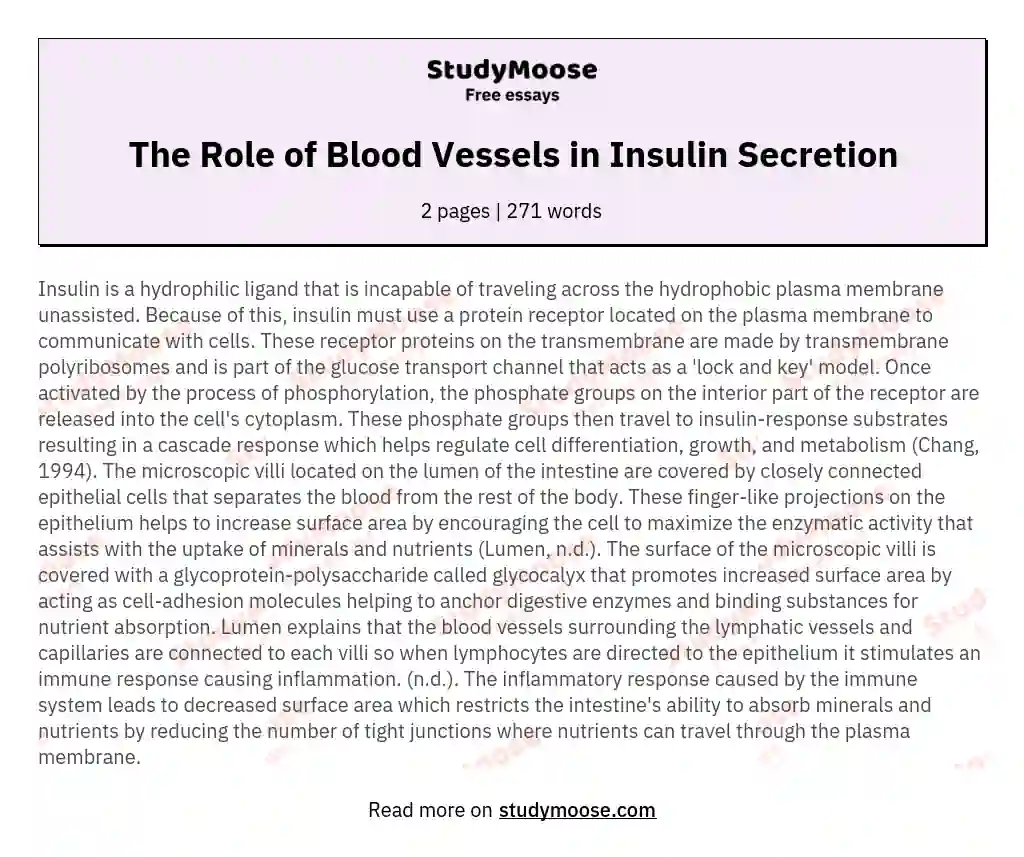 The Role of Blood Vessels in Insulin Secretion